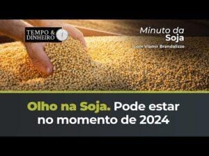 Olho na Soja. Pode estar no momento de 2024