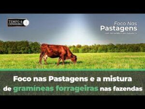 Foco nas Pastagens e a mistura de gramíneas forrageiras nas fazendas