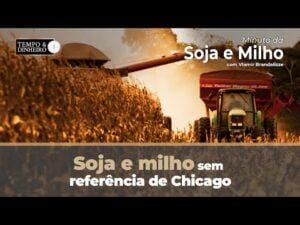 Soja e milho sem referência de Chicago . Qual tendência de preços para esta semana?