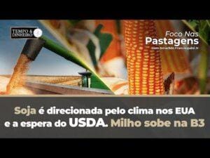 Soja é direcionada pelo clima nos EUA e a espera do USDA. Milho sobe na B3. As informações com Vlamir Brandalizze