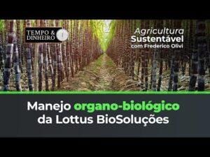 Manejo organo-biológico da Lottus na produção de cana