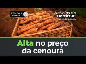 Oferta reduzida reflete alta no preço da cenoura