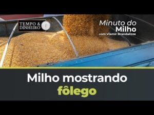 Milho mostrando fôlego positivo nos portos