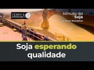 Soja esperando Qualidade das Lavouras do USDA