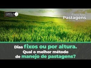 Dias fixos ou por altura? Qual o melhor método de manejo de pastagens? Foco nas pastagens responde!