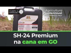 SH-24 Premium na cana em GO