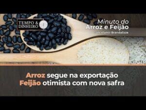 Arroz segue na exportação, Feijão otimista com nova safra