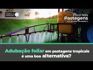 Adubação foliar em pastagens tropicais é uma boa alternativa? Foco nas Pastagens responde