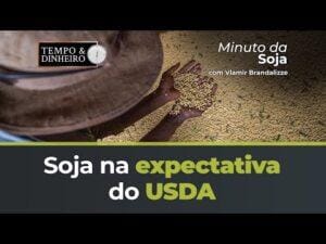 Soja na expectativa do USDA