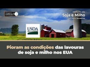 Pioram as condições das lavouras de soja e milho nos EUA. Relatório do USDA mostra queda