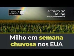 Milho em semana chuvosa nos EUA