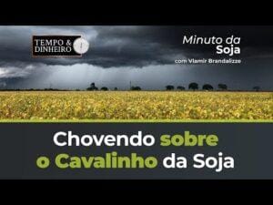 Chovendo sobre o Cavalinho da Soja