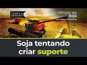 Soja tentando criar suporte em Chicago