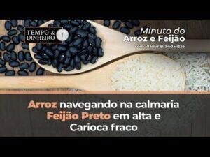 Arroz navegando na calmaria, feijão Preto em alta e Carioca fraco