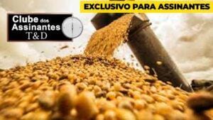 Soja em Chicago se recuperando, preço do milho ainda patinando.