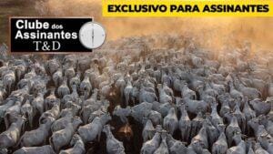 A influencia da politica na pecuária brasileira.