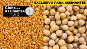 Volatilidade no preço dos grãos, com Carla Mendes.