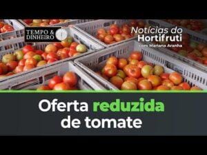Oferta reduzida de tomate. Alta para a banana nanica.