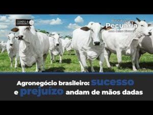 Agronegócio brasileiro: sucesso e prejuízo andam de mãos dadas , afirma Celso Ricardo