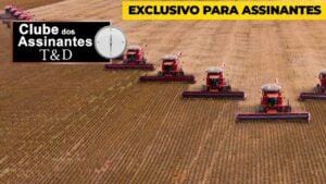 Aumento a vista no preço da soja?