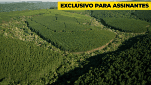 Edward Luz e Paulo Moura comentam sobre o marco temporal no Clube T&D