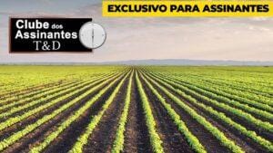 Vlamir Brandalizze: Soja com bom lucro no Balcão e Chicago ensaia queda