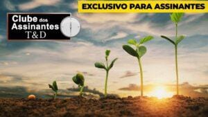 Ênio Fernandes analisa o relatório da USDA.