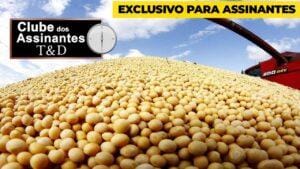 Carla Mendes: Influência do clima no preço da soja.