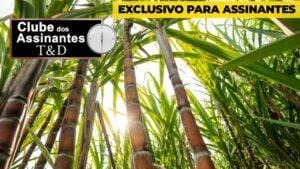 Arnaldo Correa: Análise do mercado de açúcar.