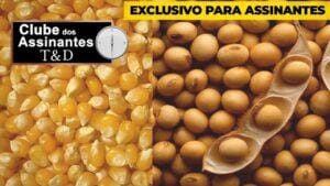 A influência do clima nos preços dos grãos – Francisco Manzi