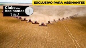 Vlamir Brandalizze: Soja na expectativa de plantio nos EUA