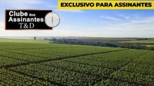 Juliano Quelho: Cláusula de garantias dos imóveis rurais
