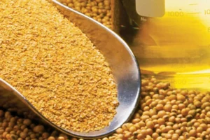 Aprosoja-MT propõe projeto piloto com gigante chinesa para construção de armazéns