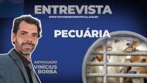 EXCLUSIVO!!! Desintrusão da Terra Indígena Apyterewa