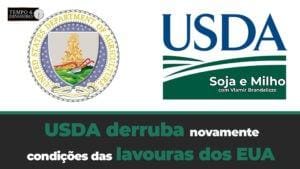 USDA derruba novamente condições das lavouras dos EUA.