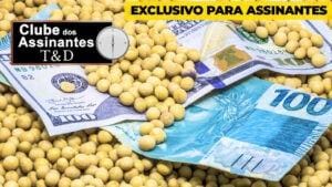 Mauricio Belinello: Foco no mercado de opções