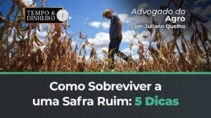 Advogado do Agro Como Sobreviver a uma safra ruim: 5 dicas