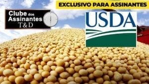 USDA: aponta colheita da soja e do milho nos EUA mais lentas do que o esperado