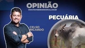 O atual cenário da pecuária com Celso Ricardo
