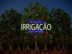 Momento Irrigação – Café