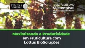 Maximizando a produtividade da fruticultura com a Lottus