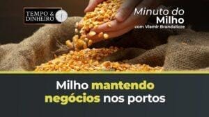 Milho mantendo negócios nos portos