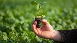 Conheça a Harven Agribusiness School – Primeira escola do agro brasileiro