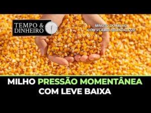Milho pressão momentânea com leve baixa