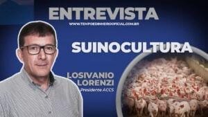 Entrevista com Losivanio Luiz de Lorenzi – Presidente ACCS