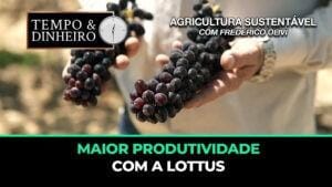 Maior Produtividade com a Lottus