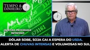 Dólar sobe, soja cai a espera do USDA. Alerta de chuvas intensas e volumosas no Sul.