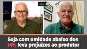 Soja com umidade abaixo dos 14% leva prejuízos de 3% ao produtor, alerta Antonio Galvan