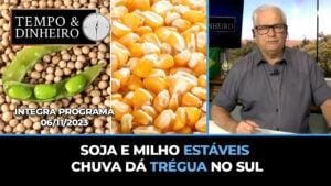 Soja e milho estáveis  chuva dá trégua no sul