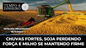 Chuvas fortes, soja perdendo força e milho se mantendo firme